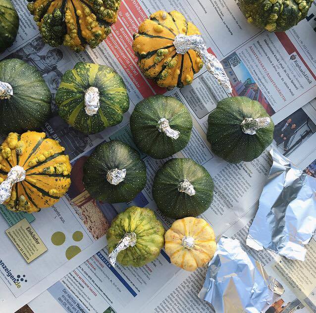 14872608_1202472229819710_317645288_n