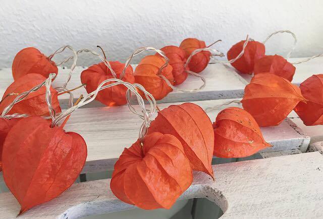 14885874_1202471943153072_458281006_n