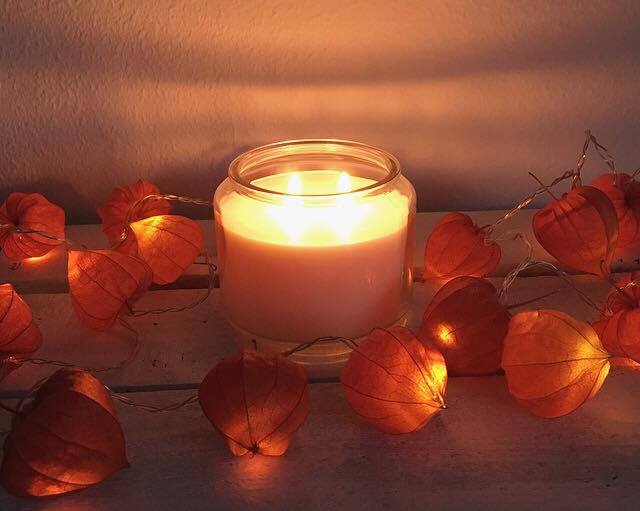 14914761_1202537273146539_458009269_n